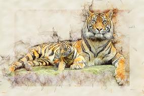 tiger cat mammal cub predator