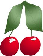 red cherries with green leaves