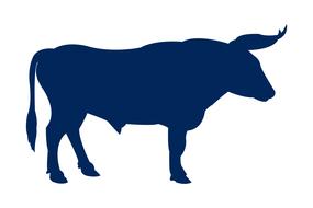 bull animal silhouette nature wild