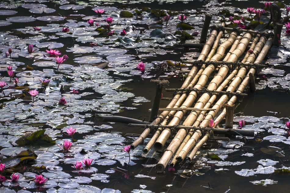 Lily Bridge Ao