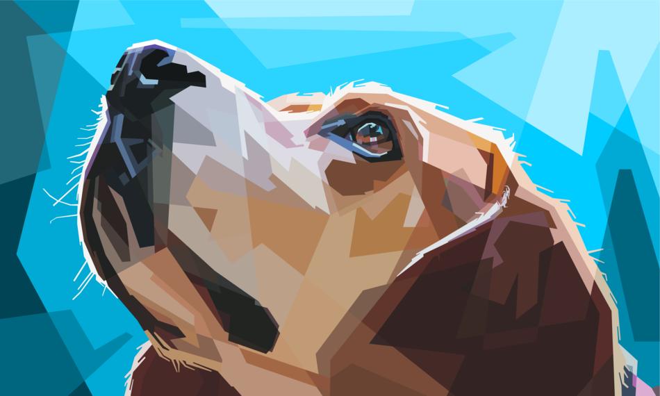 animal colorful decoration dog