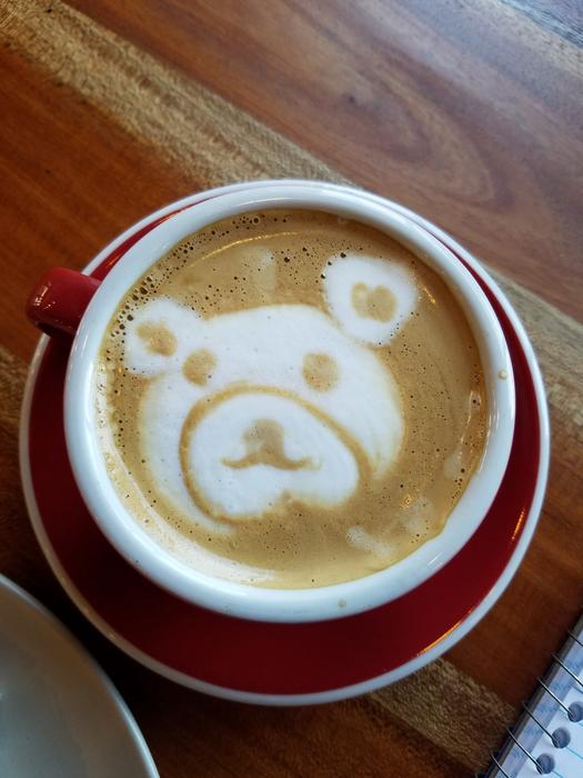 delicious coffee with a bear pattern