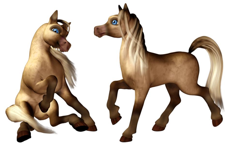 pony horse colt filly foal