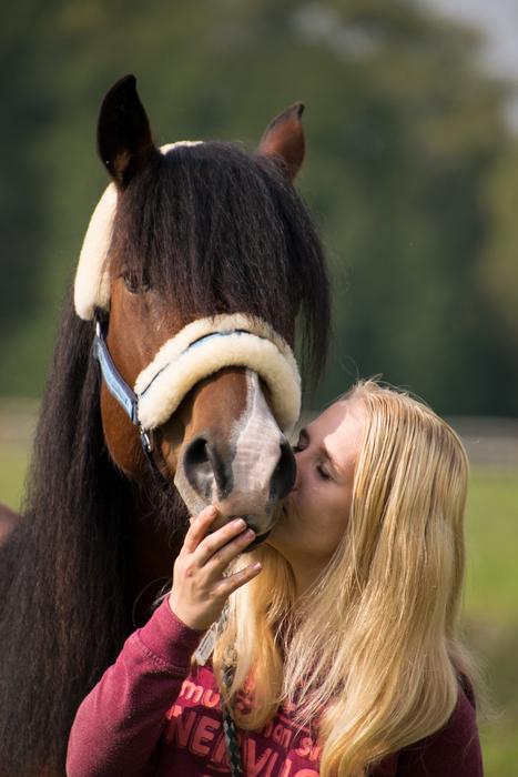 Horse Friendship Trust