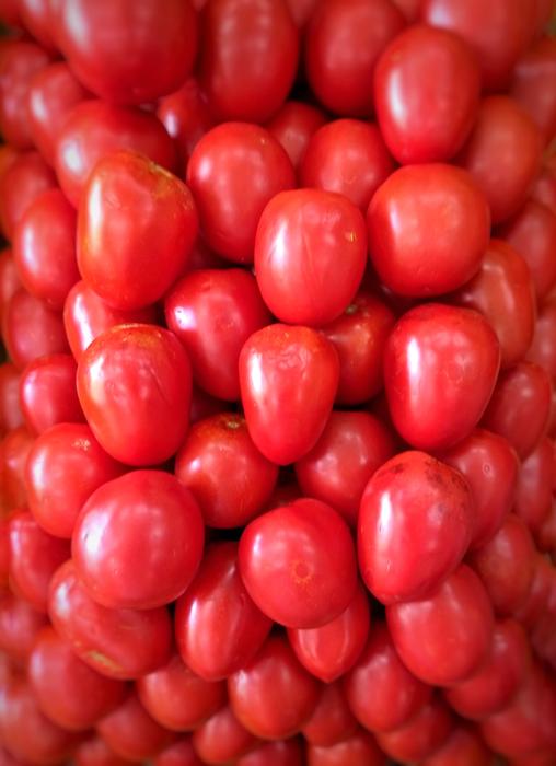 ripe tasty tomatoes harvest
