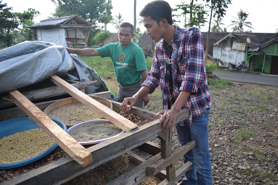 men looking at the grain harvest