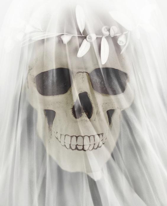 skull veil Halloween veil