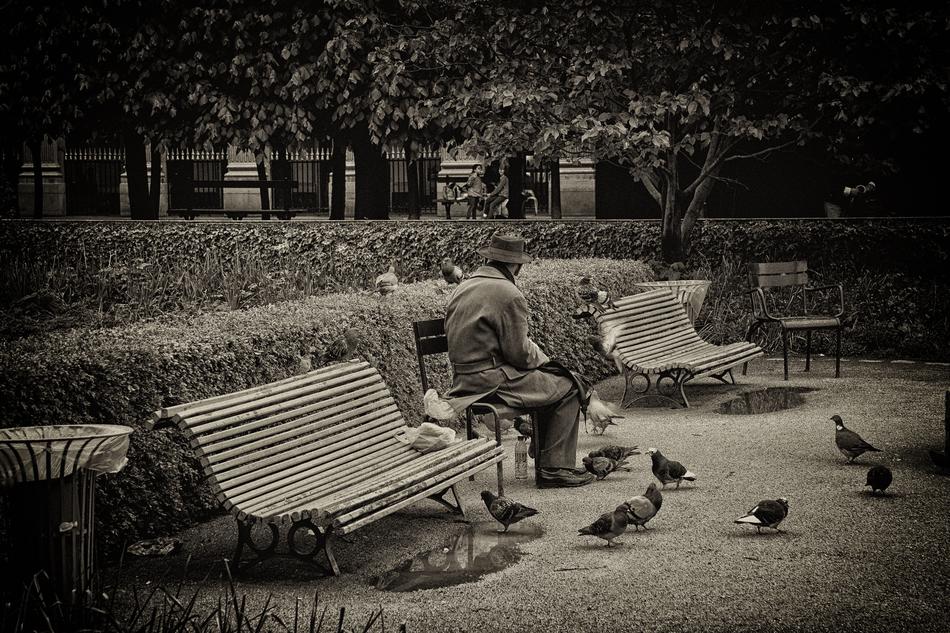 Olttimer Old Man