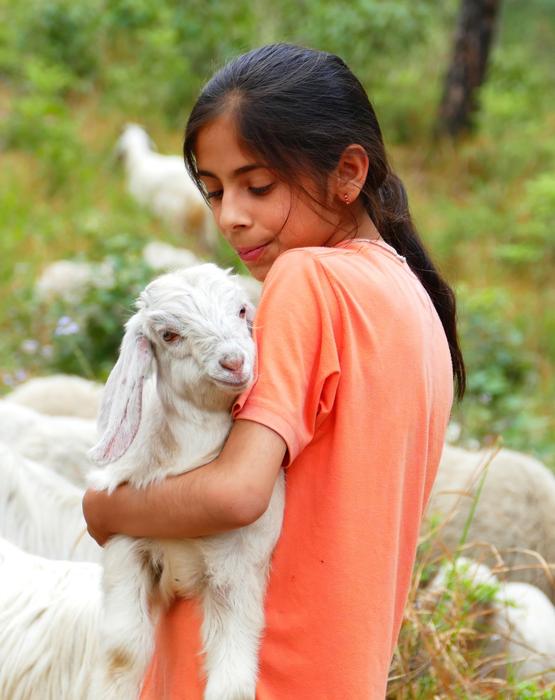 Child Goat Hug