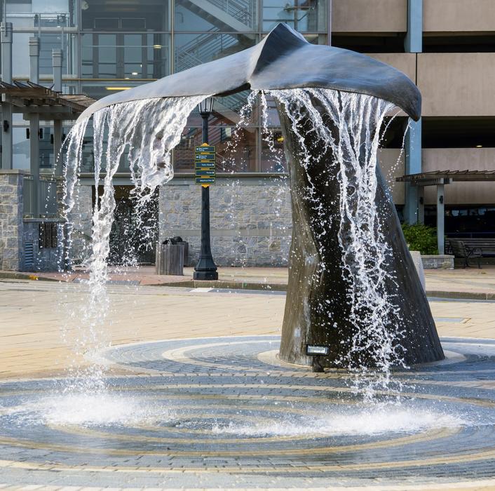 tail whale water fountain