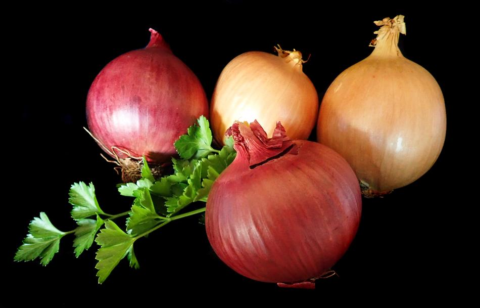 ripe delicious onions on the table