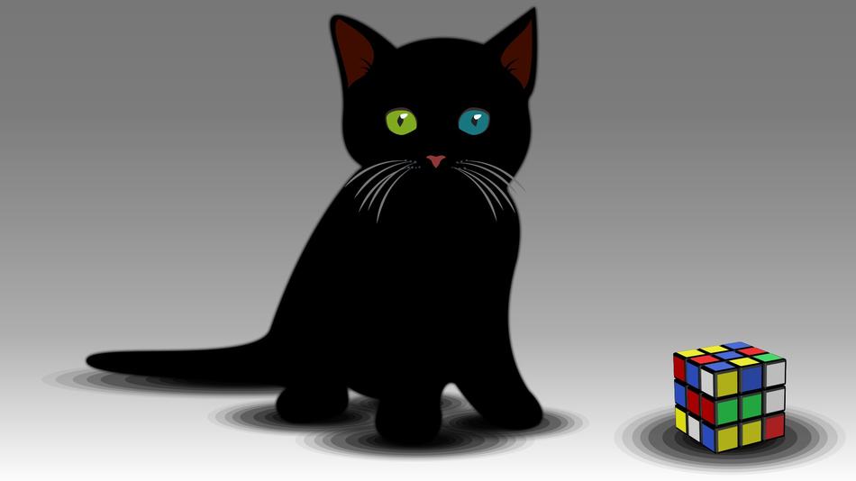 kitty kitten silhouette animals