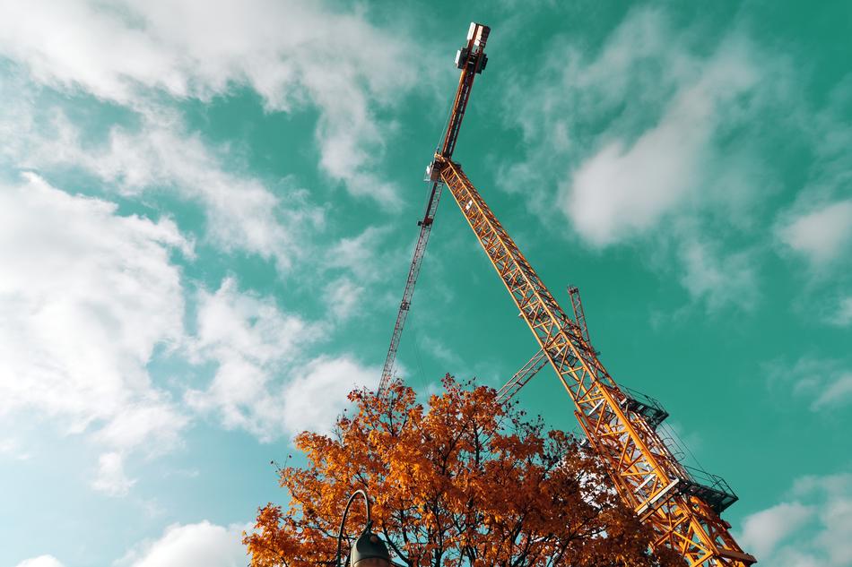 autumn foliage crane sky