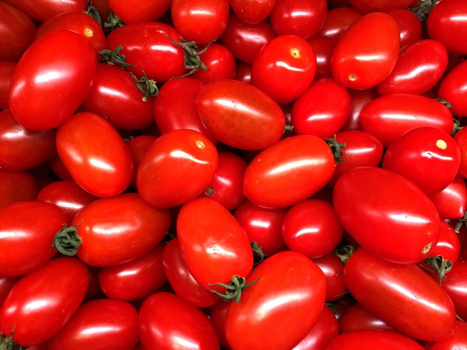 Tasty juicy tomatoes harvest