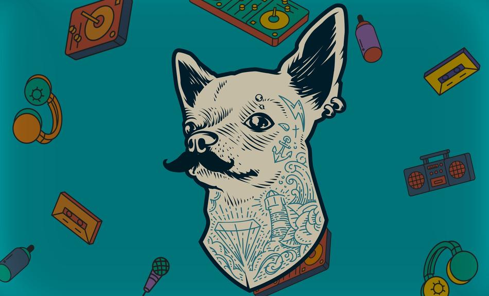 tumblr madness hipster dog vintage