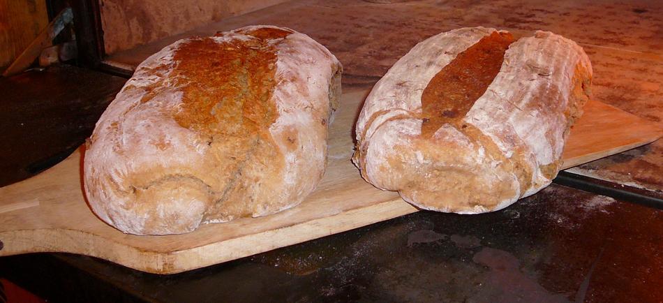 hot crusty bread is delicious