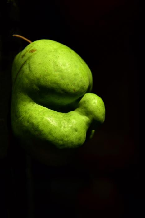 Pear Fruit Crippled