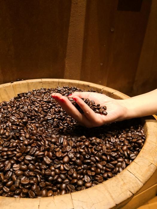 coffee beans in the plate and in the hand