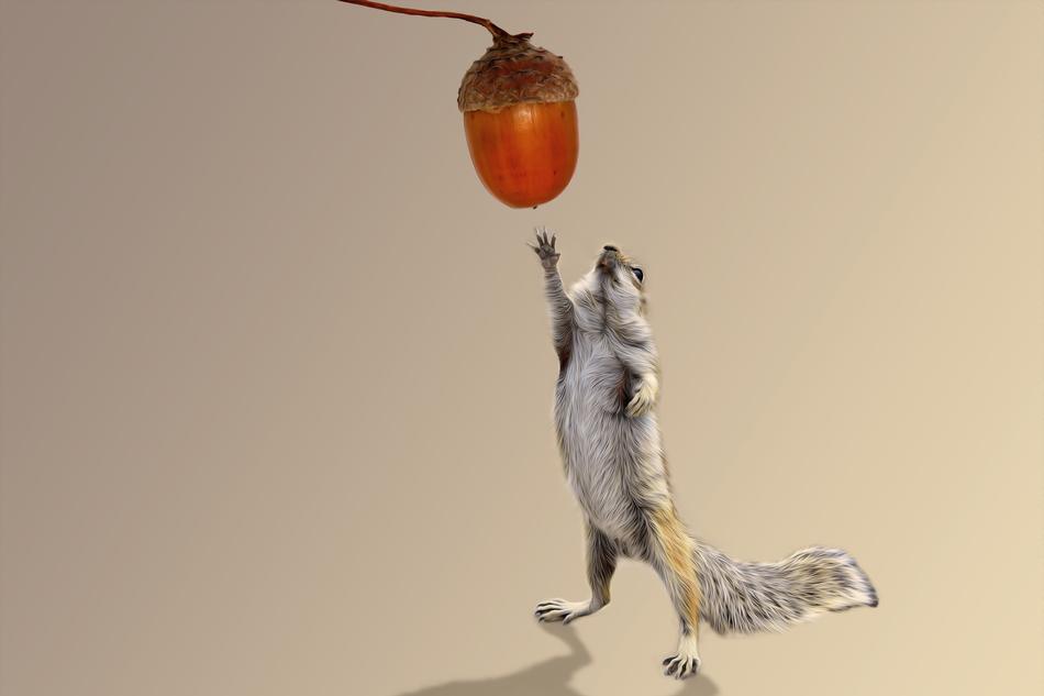 Squirrel Acorn Autumn
