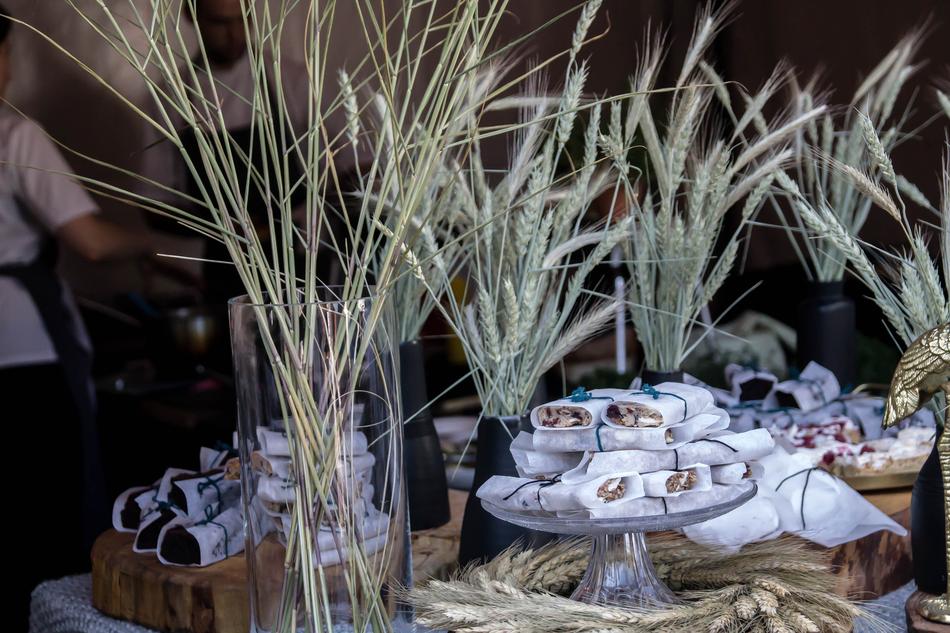 Packaged dessert against a backdrop of plants