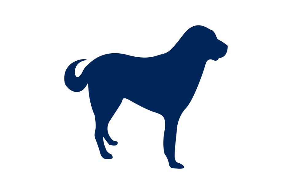 blue silhouette of a dog on a white background