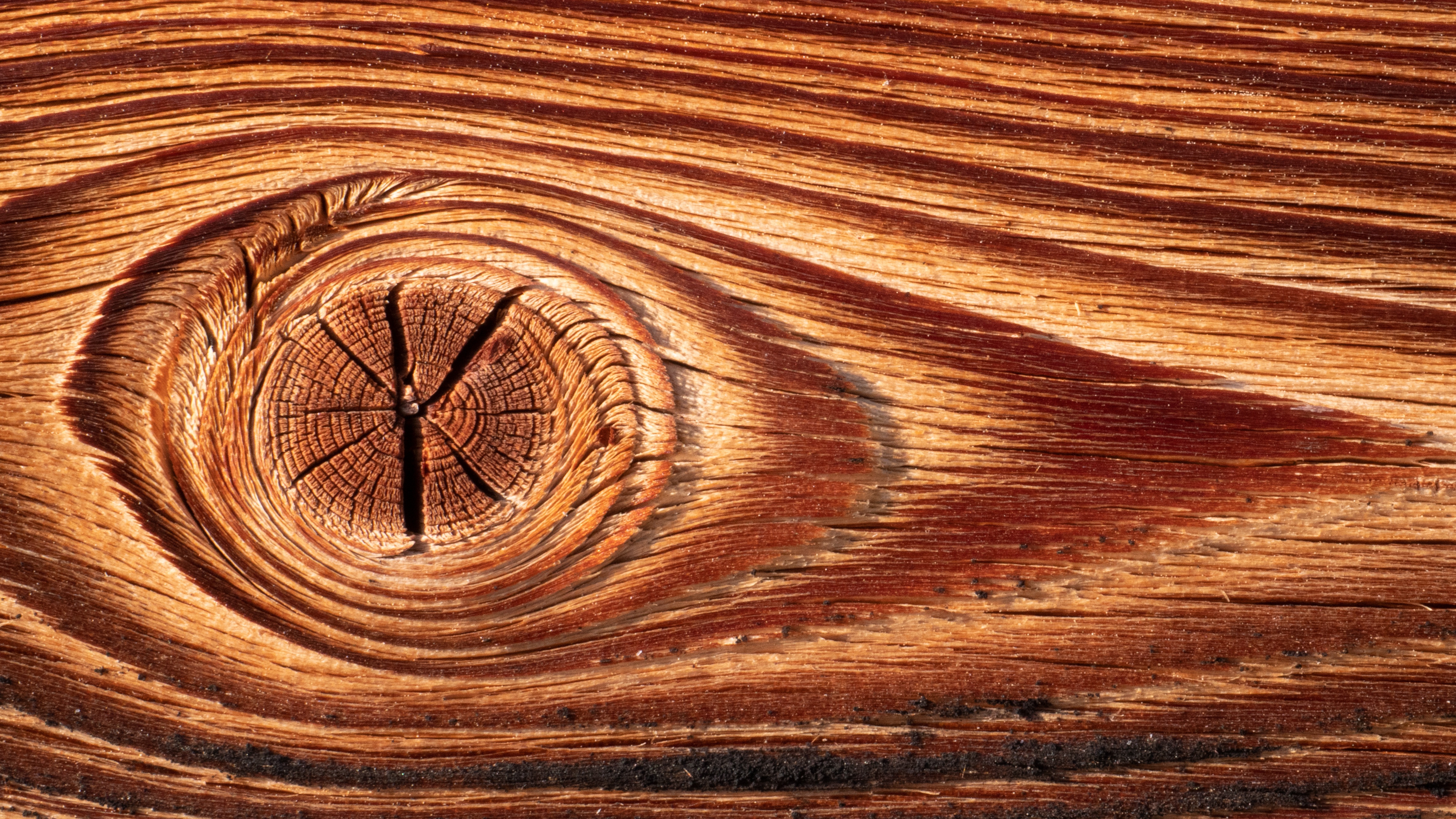 Текстура древесины