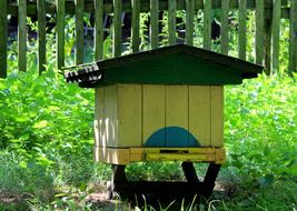 house for birds in the garden