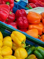 ripe vegetables in a plastic box