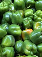 green juicy peppers