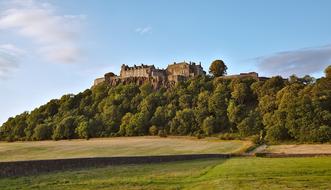 castle at the top of the trees