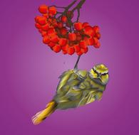 a small bird on berries