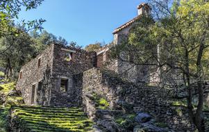 stone house with leaves