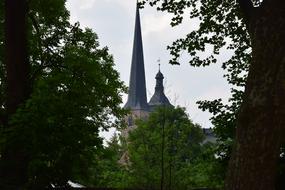 Church Tower Trees