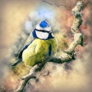 a beautiful drawing of a small bird