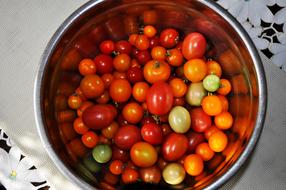 ripe tomatoes in a pot