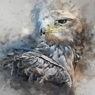 great eagle painting