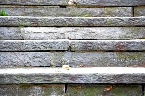 stone staircase with leaves