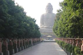 big buddha in green grass view