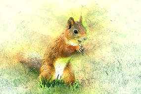 there a squirrel in the grass