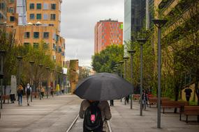 Umbrella Outdoor Man
