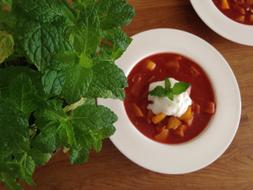 tomato tasty soup with sour cream