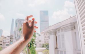 human hand on a white background