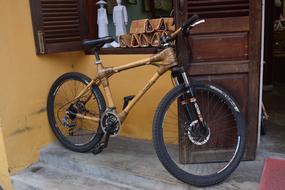 Bike Sport Bamboo