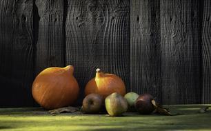 Delicious ripe vegetables on the background of the fence