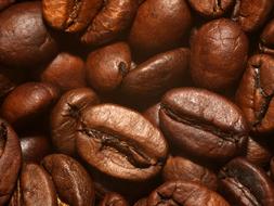 Aromatic roasted coffee beans closeup