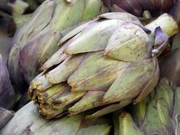 ripe farm artichoke