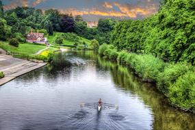 green water with trees