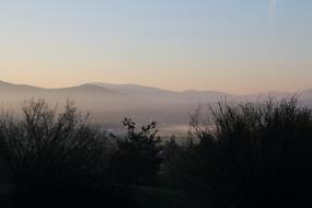 trees mountains view landscape