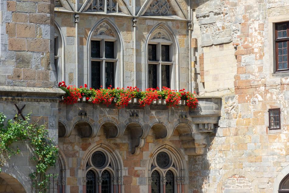 flowers on the veranda at the house