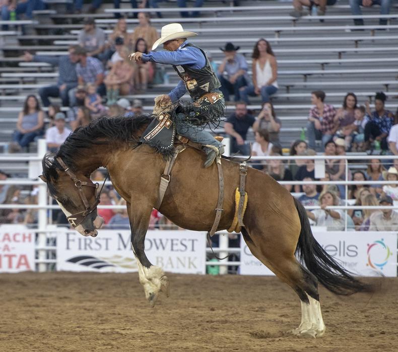 horse man rodeo